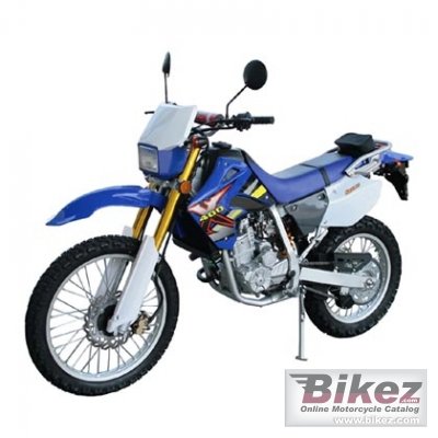 2011 Xingyue XY400Y photo